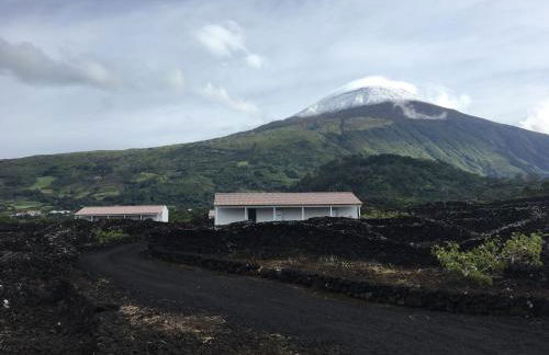 Insula Vinus Apartments - Photo 24