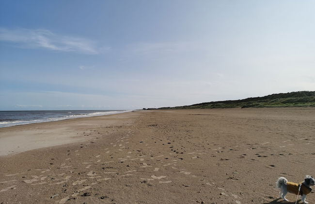 Sea Activities Golden Sands Beach Relax - Foto 33