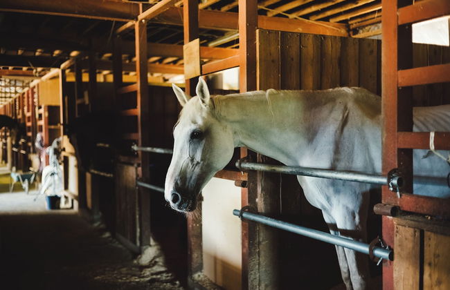 Kobuchizawa Art&Wellness IKIGAI - VILLAS - Foto 24