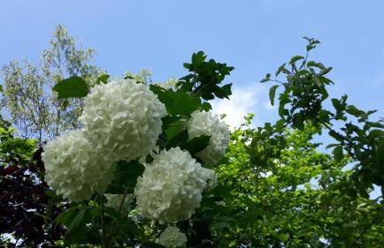 Villa Nordic - Foto 24