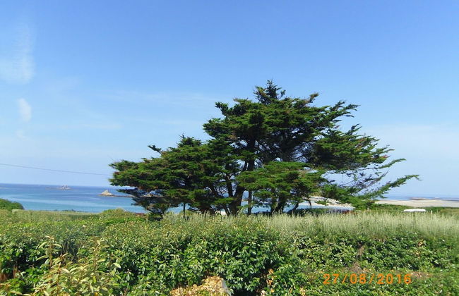 Stone House in Brittany Near Sandy Beaches - Foto 21