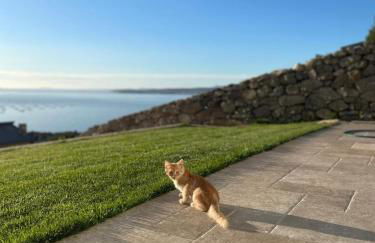 Vou Nun Bou - Foto 35