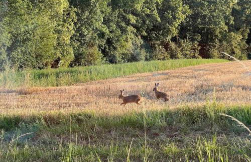 Zeitlberg Panoramawohnung mit PRIVAT SPA - Foto 6