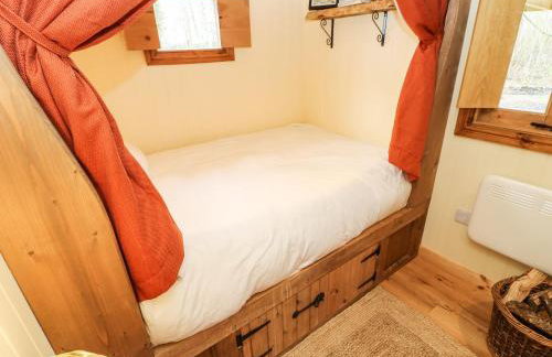 Bracken Fern - Photo 12