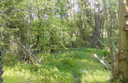 Doonbank Cottage Bothy - Foto 16