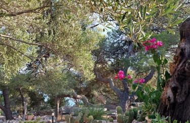 Vacation house Punta sunca - Foto 25