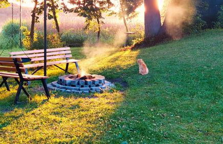 Cisowa Ostoja - Foto 28