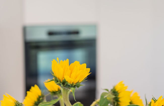 Seaside Lodge - Foto 19