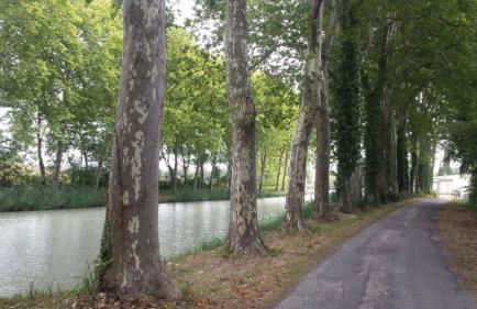 DOMAINE LA MASQUIERETTE - Foto 24