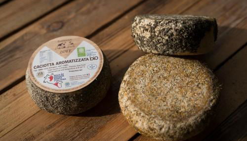 Agriturismo Borg da Ocjs - Foto 4