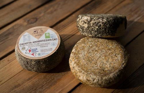 Agriturismo Borg da Ocjs - Photo 4