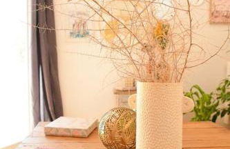 appartement l'arbousier - Foto 22