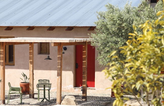 Alma Liebre Viñedos del Valle - Foto 12