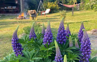 Käthes Sommerfrische - Photo 18