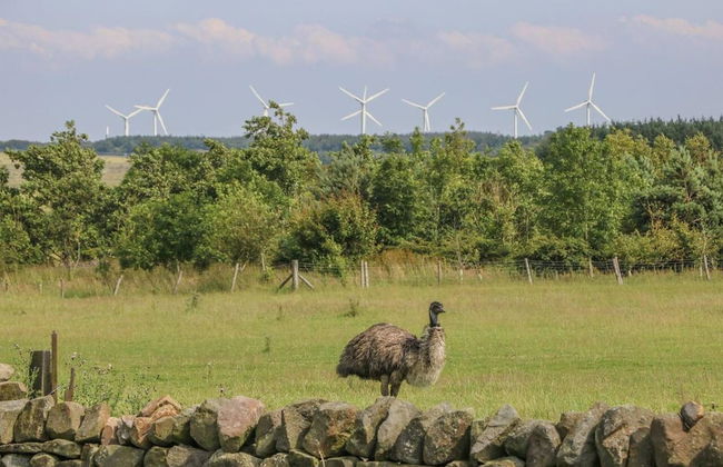 Meagill Farmhouse, hot Tub, bbq hut - Foto 22