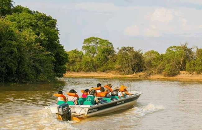 Safari por el pantanal de Mato Grosso - Foto 7