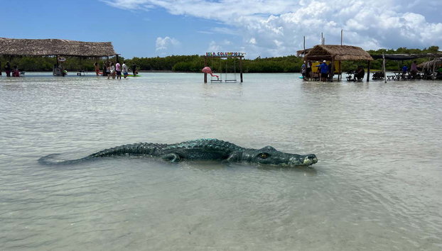 Excursión a la Isla Columpios - Foto 3, Descubriréis por qué esta isla es tan famosa