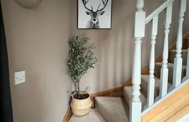 Bogee Farm - Foto 49