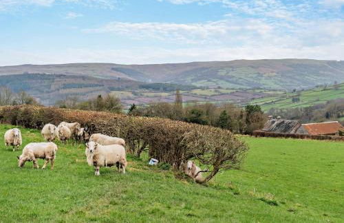 2 Bed in Cwmdu MAWRW - Foto 26