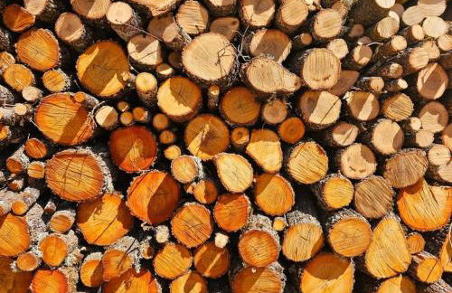 La Era de Lardiés - Photo 25