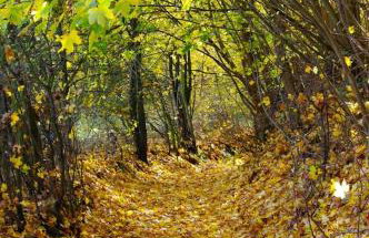 The hills at river - Foto 33