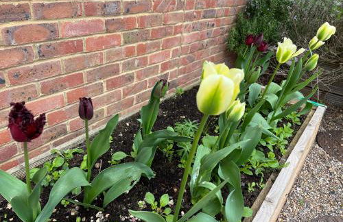 Whitstable The Jolly - Foto 42