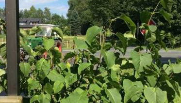 Ferienwohnung An der Königstraße - Foto 4