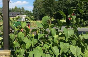 Ferienwohnung An der Königstraße - Foto 4