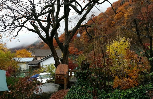 Baenae-gol Alpensia Pension - Foto 35