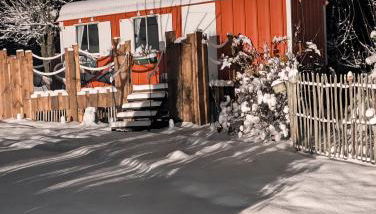 Auszeit im Bauwagen - Foto 4