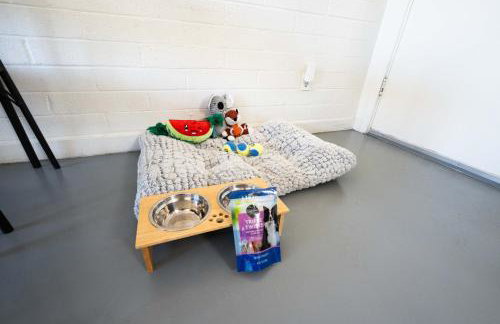 Spring Dream 2BR Apt with Parking in the Heart of DT - Foto 10