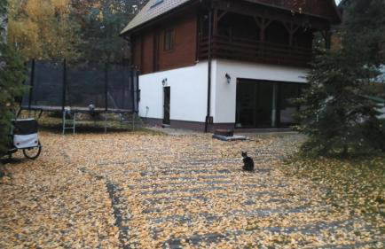 Casa Pablo - Foto 20