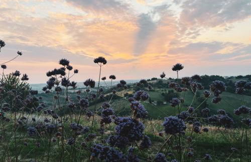 La Collina dei Gelsi - Foto 33