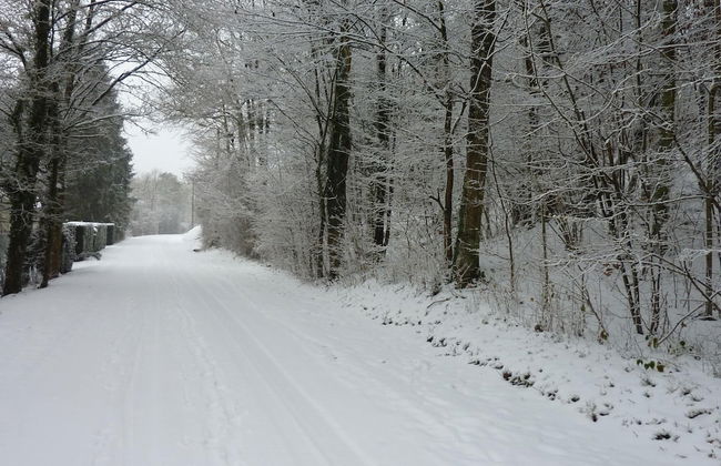 Cozy Escape in Bohon - Photo 19