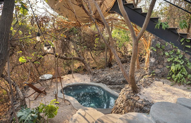 Bosque Geométrico - Foto 61