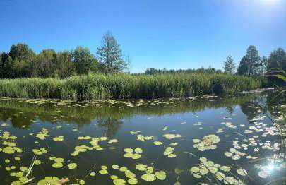 Dom wakacyjny Bliźniacza Natura nad rzeką, Makosieje - Foto 26