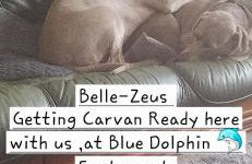 8 Berth Caravan at Blue Dolphin East coast - Foto 33