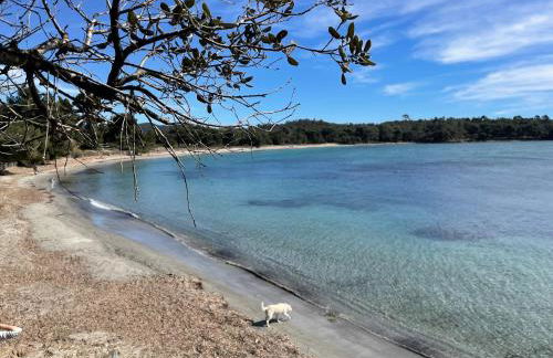 Appartement plage piscine et tennis inclus - Foto 43