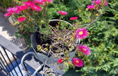 Casa Athena a 100 m dal mare con parcheggio privato gratuito - Foto 27