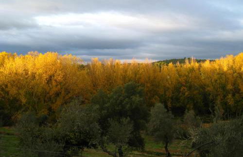 Vivienda Rural Olivar del Chanza - Foto 21