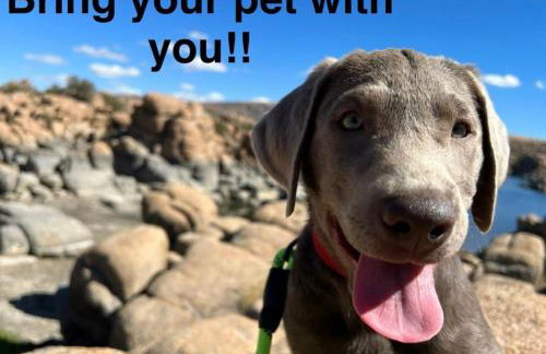 Eagles Nest Casita Luxury king memory foam bed feather pillows & duvet Amazing views, private balcony, Great location & Dog friendly - Foto 78