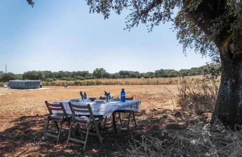 Quinta do Mocho by Portus Alacer - Photo 12