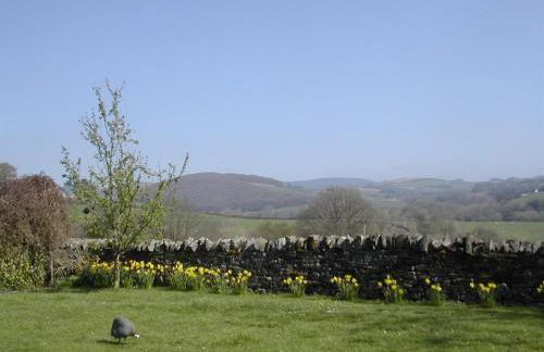 Alltybrain Farm Cottages and B&B - Foto 27