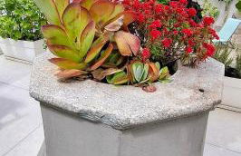 City Center Palma - Photo 16