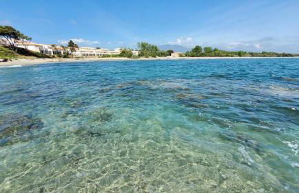 T2 VUE MER CORSE N193 - Foto 15