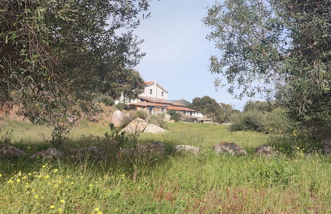 Il nuraghe - Foto 57