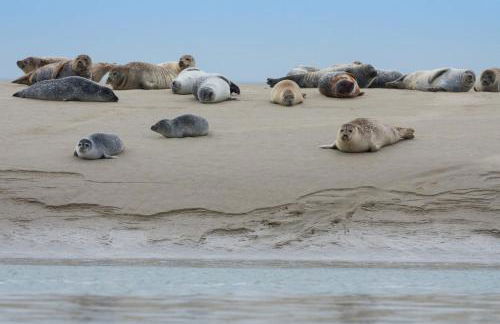 Gites La Baie des Remparts Meublé Les Avocettes - Foto 26