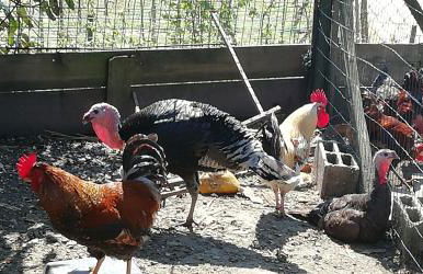 My Portugal for All - Lousada Villa - Foto 62