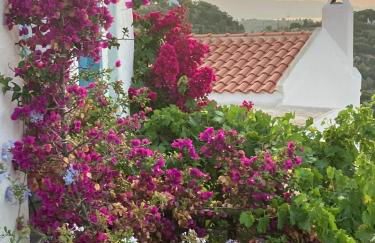 Two sisters - Foto 12