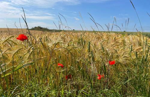 The Garden House - Photo 33